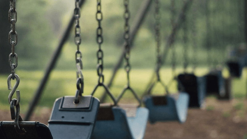 Bird - professional stock photography