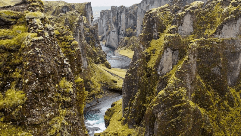 Corgi - professional stock photography