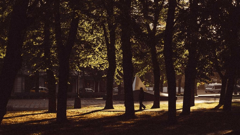 Corgi - professional stock photography