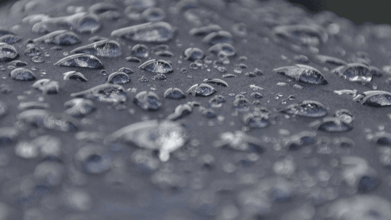 Dog - professional stock photography