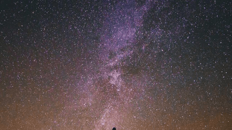 Goldfish - professional stock photography
