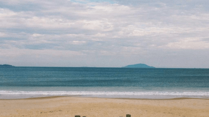 Hamster - professional stock photography