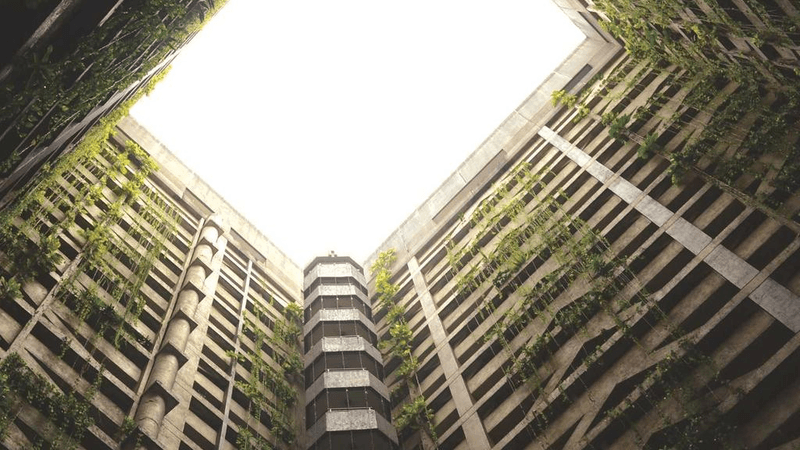 Hamster - professional stock photography