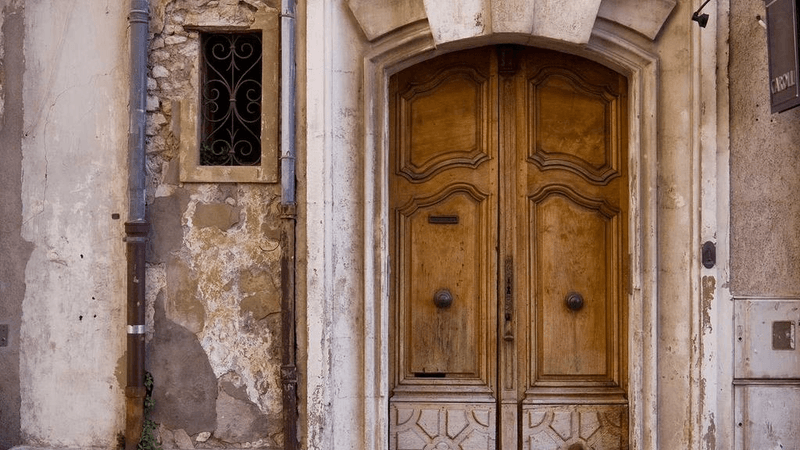 Husky - professional stock photography