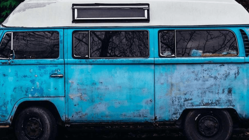 Husky - professional stock photography