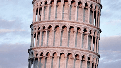 Labrador - professional stock photography