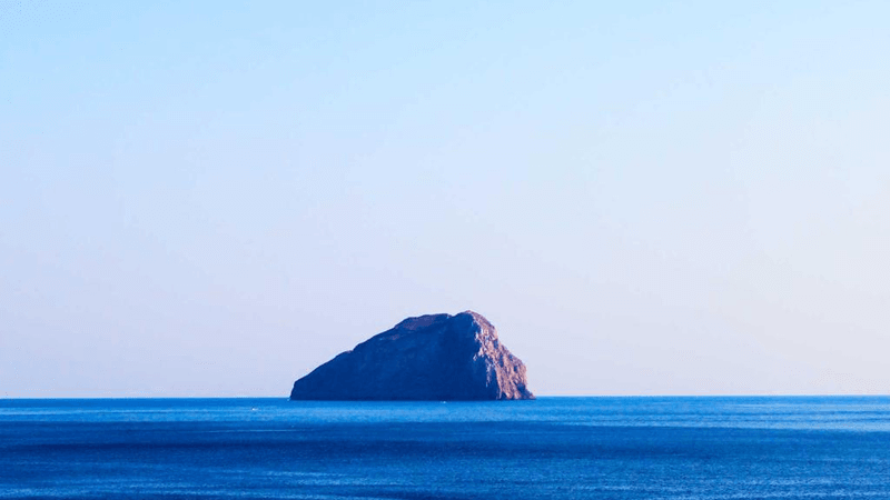 Maine Coon - professional stock photography