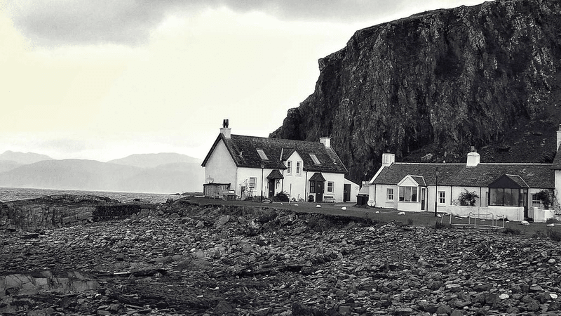 Maine Coon - professional stock photography