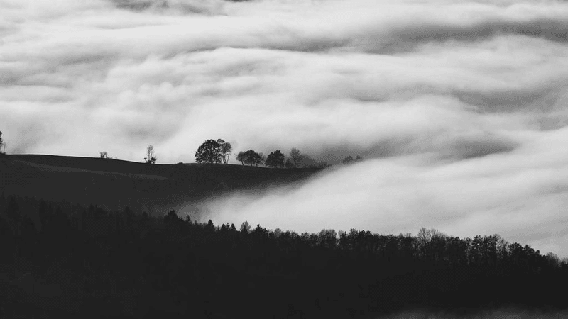 Persian - professional stock photography