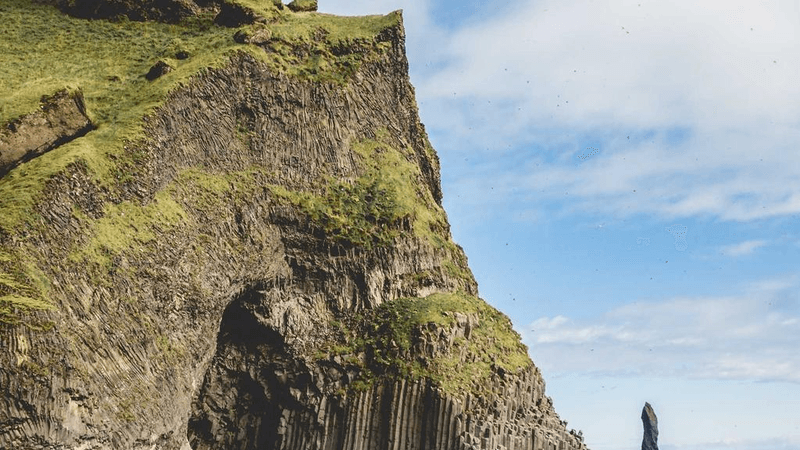 Poodle - professional stock photography