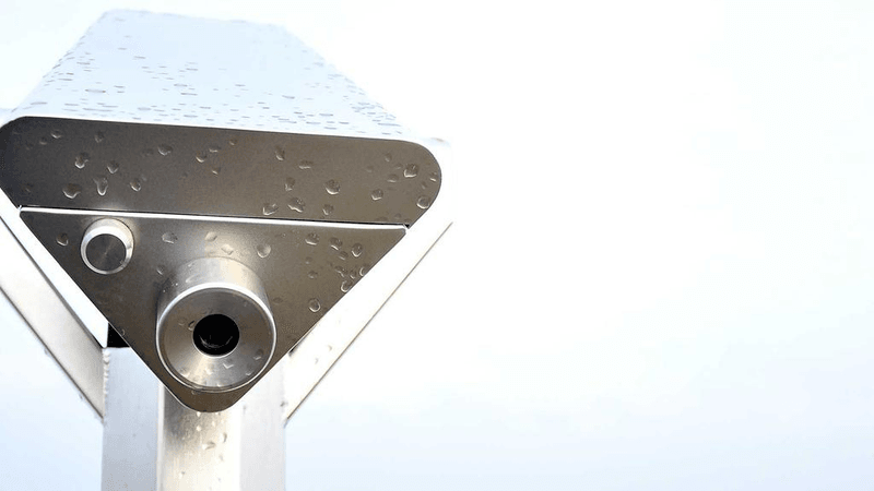 Puppy - professional stock photography