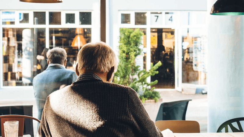 Siamese - professional stock photography