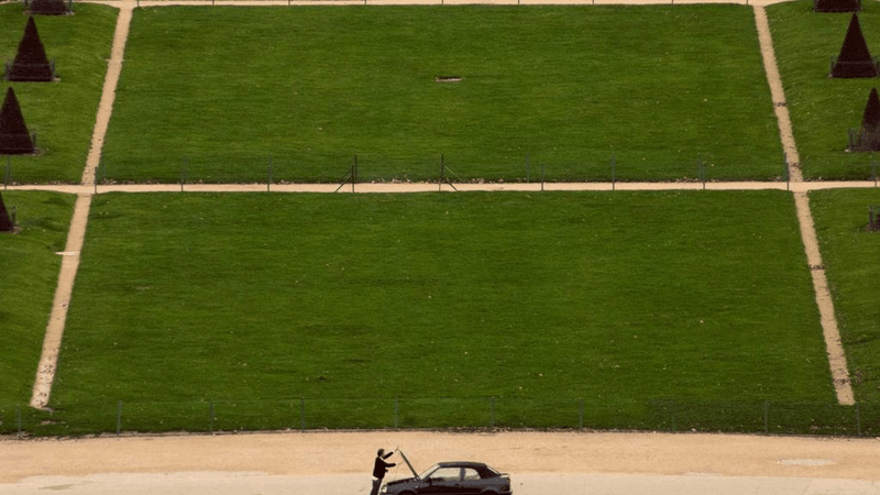 Tabby - professional stock photography