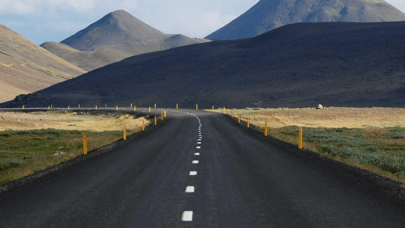 Tabby - professional stock photography