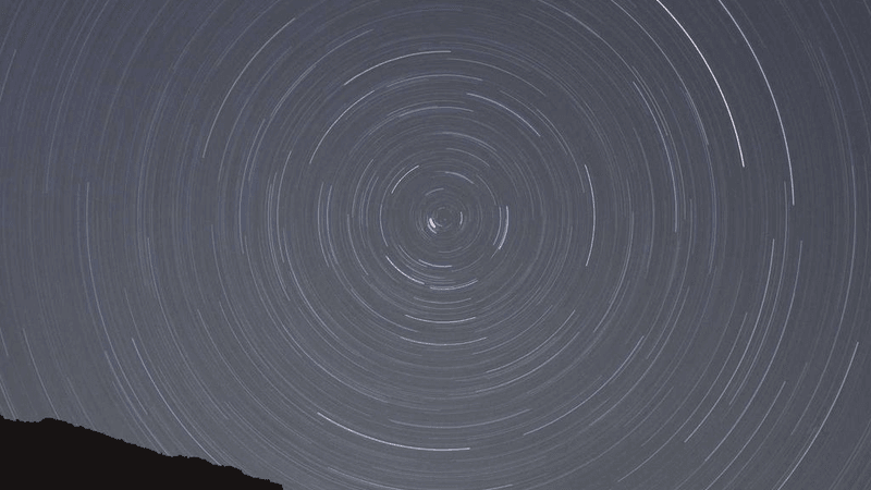 Turtle - professional stock photography